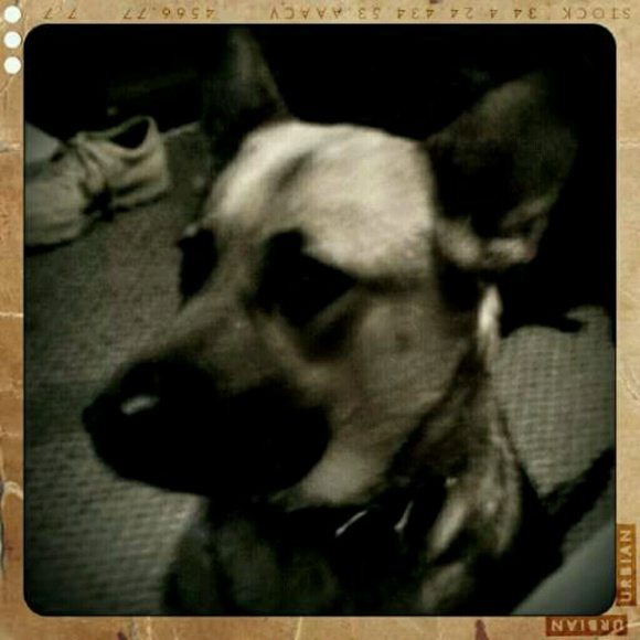 Meet your Posher, Dujuan - Picture 1 of 1